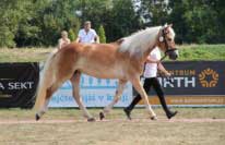 Flinkie. Pro zv�t�en� klikn�te