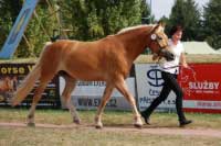 G�ja. Pro zv�t�en� klikn�te