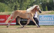 Hoffnung. Pro zv�t�en� klikn�te