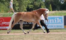 Moneta. Pro zv�t�en� klikn�te