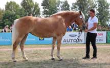 Niva. Pro zv�t�en� klikn�te