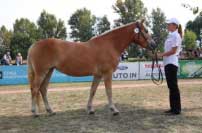 Sunny Girl. Pro zv�t�en� klikn�te