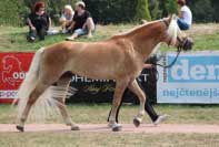 Athos. Pro zv�t�en� klikn�te