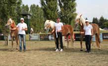 Postupuj�c� ze t��dy mlad��ch klisen. Pro zv�t�en� klikn�te