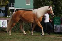 Atlantis. Pro zv�t�en� klikn�te