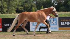 Daylight. Pro zv�t�en� klikn�te