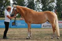 Gej�a. Pro zv�t�en� klikn�te