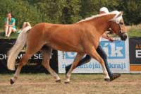 Wunja. Pro zv�t�en� klikn�te