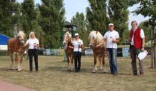 Nejlep�� um�st�n� star�� klisny. Pro zv�t�en� klikn�te