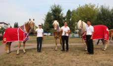 �ampionka, Miss sympatie a nejlep�� �esk� klisna. Pro zv�t�en� klikn�te