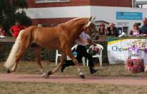 Amaranth. Pro zv�t�en� klikn�te