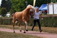 Art. Pro zv�t�en� klikn�te