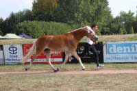 Amelina. Pro zv�t�en� klikn�te