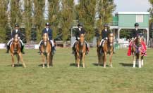 Vyhl�en� v�sledk� drezury star��ch kon�. Pro zv�t�en� klikn�te