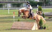 Sandra Bal�ov� a Stanley. Pro zv�t�en� klikn�te