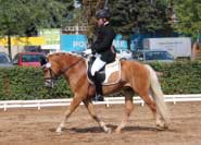 Pavel Li�ka a Amaranth. Pro zv�t�en� klikn�te