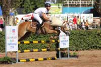 Ji�� Ka�p�rek s Arezzou. Pro zv�t�en� klikn�te