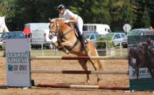 Petra Dvo��kov� a Wolke. Pro zv�t�en� klikn�te