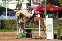 Lucie Selnerov� a h�ebec Athos. Pro zv�t�en� klikn�te