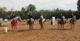 P�t nejlep��ch skokan�. Pro zv�t�en� klikn�te