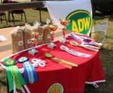 Hlavn�m partnerem M�R byla firma ADW Feed. Pro zv�t�en� klikn�te