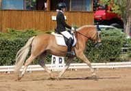 Laura Li�kov� s Hanym. Pro zv�t�en� klikn�te