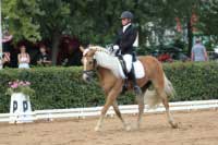 Martina Studni�kov� a Wunja. Pro zv�t�en� klikn�te