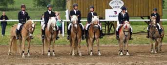 Dekorov�n� - nej�sp�n�j�� dvojice srovnan� zleva. Pro zv�t�en� klikn�te