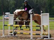 Michal �palek s Arezzou. Pro zv�t�en� klikn�te