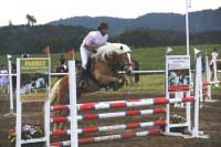 Michal �palek a Arezza. Pro zv�t�en� klikn�te