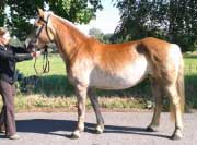 Candy. Pro zv�t�en� klikn�te