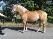 Emina. Pro zv�t�en� klikn�te