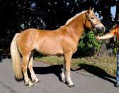 G�ja. Pro zv�t�en� klikn�te