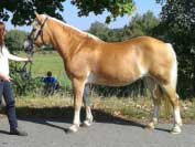 Laura. Pro zv�t�en� klikn�te