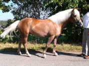 Lenka. Pro zv�t�en� klikn�te