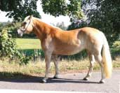 Selena. Pro zv�t�en� klikn�te