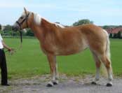 Majka. Pro zv�t�en� klikn�te