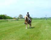 Wendy. Pro zv�t�en� klikn�te