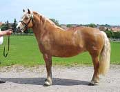 Lusi. Pro zv�t�en� klikn�te