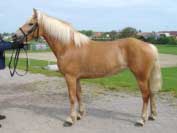 Kitty. Pro zv�t�en� klikn�te