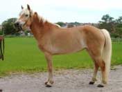 Molly. Pro zv�t�en� klikn�te