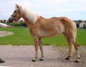 Art�na T�na. Pro zv�t�en� klikn�te