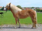 Wendy Angela Darling. Pro zv�t�en� klikn�te