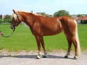 Lukava. Pro zv�t�en� klikn�te