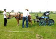 Kitty. Pro zv�t�en� klikn�te