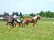 Lukava. Pro zv�t�en� klikn�te