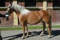 Betty. Pro zv�t�en� klikn�te