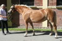 Denka. Pro zv�t�en� klikn�te