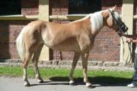 Dior. Pro zv�t�en� klikn�te