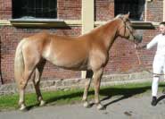 Grace. Pro zv�t�en� klikn�te